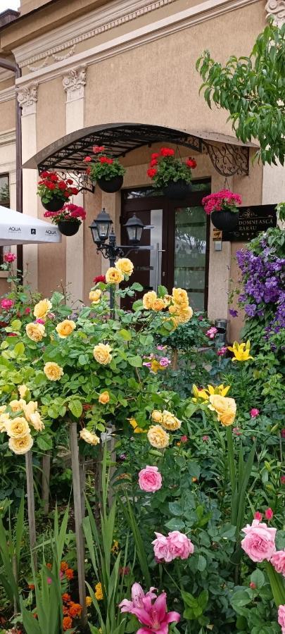 Casa Domneasca Rarau Ξενοδοχείο Câmpulung Moldovenesc Εξωτερικό φωτογραφία